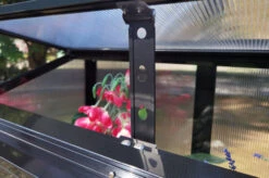 OUTFLEXX Gewächshaus, Schwarz, Alu/Polycarbonat, 91x51x168cm, Pulverbeschichtet 21 OUTFLEXX Gewächshaus, Schwarz, Alu/Polycarbonat, 91x51x168cm, Pulverbeschichtet -Aerocove Gartenlounge Geschaft 22274 11.jpg