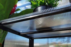 OUTFLEXX Gewächshaus, Schwarz, Alu/Polycarbonat, 91x51x168cm, Pulverbeschichtet 22 OUTFLEXX Gewächshaus, Schwarz, Alu/Polycarbonat, 91x51x168cm, Pulverbeschichtet -Aerocove Gartenlounge Geschaft 22274 12.jpg