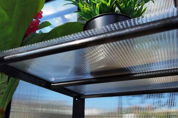 OUTFLEXX Gewächshaus, Schwarz, Alu/Polycarbonat, 91x51x168cm, Pulverbeschichtet 10 OUTFLEXX Gewächshaus, Schwarz, Alu/Polycarbonat, 91x51x168cm, Pulverbeschichtet – Bild 10