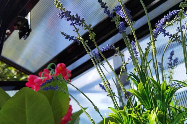 OUTFLEXX Gewächshaus, Schwarz, Alu/Polycarbonat, 91x51x168cm, Pulverbeschichtet 11 OUTFLEXX Gewächshaus, Schwarz, Alu/Polycarbonat, 91x51x168cm, Pulverbeschichtet – Bild 11