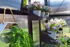 OUTFLEXX Gewächshaus, Schwarz, Alu/Polycarbonat, 309x355x272cm, Pulverbeschichtet 22 OUTFLEXX Gewächshaus, Schwarz, Alu/Polycarbonat, 309x355x272cm, Pulverbeschichtet -Aerocove Gartenlounge Geschaft 22275 14.jpg