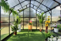 OUTFLEXX Gewächshaus, Schwarz, Alu/Polycarbonat, 372x250x228cm, Pulverbeschichtet 20 OUTFLEXX Gewächshaus, Schwarz, Alu/Polycarbonat, 372x250x228cm, Pulverbeschichtet -Aerocove Gartenlounge Geschaft 22279 10.jpg