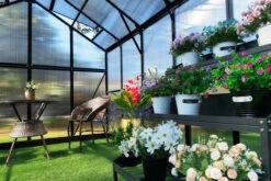 OUTFLEXX Gewächshaus, Schwarz, Alu/Polycarbonat, 433x250x228cm, Pulverbeschichtet 18 OUTFLEXX Gewächshaus, Schwarz, Alu/Polycarbonat, 433x250x228cm, Pulverbeschichtet -Aerocove Gartenlounge Geschaft 22280 8.jpg