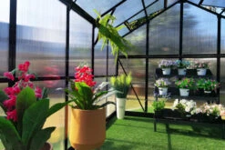 OUTFLEXX Gewächshaus, Schwarz, Alu/Polycarbonat, 494x250x228cm, Pulverbeschichtet -Aerocove Gartenlounge Geschaft 22281 10.jpg