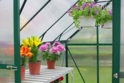 OUTFLEXX Gewächshaus, Grün, Alu/Polycarbonat, 6mm, Inkl. Fundament, Pulverb. 258 X 195 X 205 Cm -Aerocove Gartenlounge Geschaft 3 13757.jpg