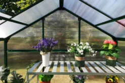 OUTFLEXX Gewächshaus, Grün, Alu/Polycarbonat, 190x125x203 Cm, Pulverbeschichtet 12 OUTFLEXX Gewächshaus, Grün, Alu/Polycarbonat, 190x125x203 Cm, Pulverbeschichtet -Aerocove Gartenlounge Geschaft 4 20085.jpg